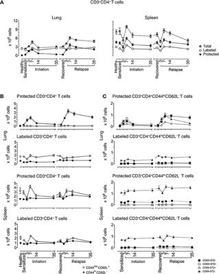 Th2-TRMs Maintain Life-Long Allergic Memory in Experimental Asthma in Mice